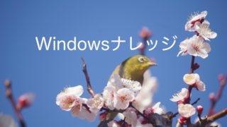 Windowsコマンドを勉強しよう　〜$netstat編〜