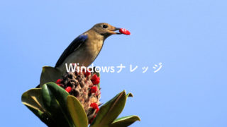 Windowsコマンド　〜nslookup編〜