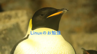 Linuxコマンドを勉強しよう　〜$tail編〜
